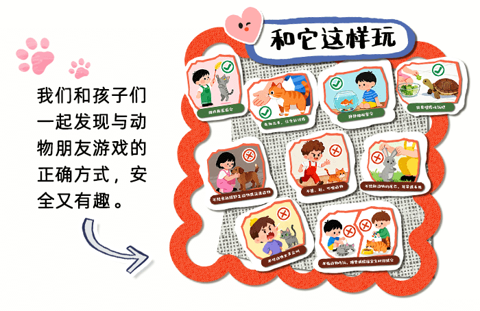 可爱的动物_详情页_07.png