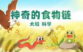 神奇的食物链
