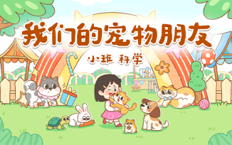我们的宠物朋友