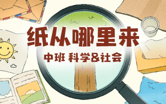 纸从哪里来