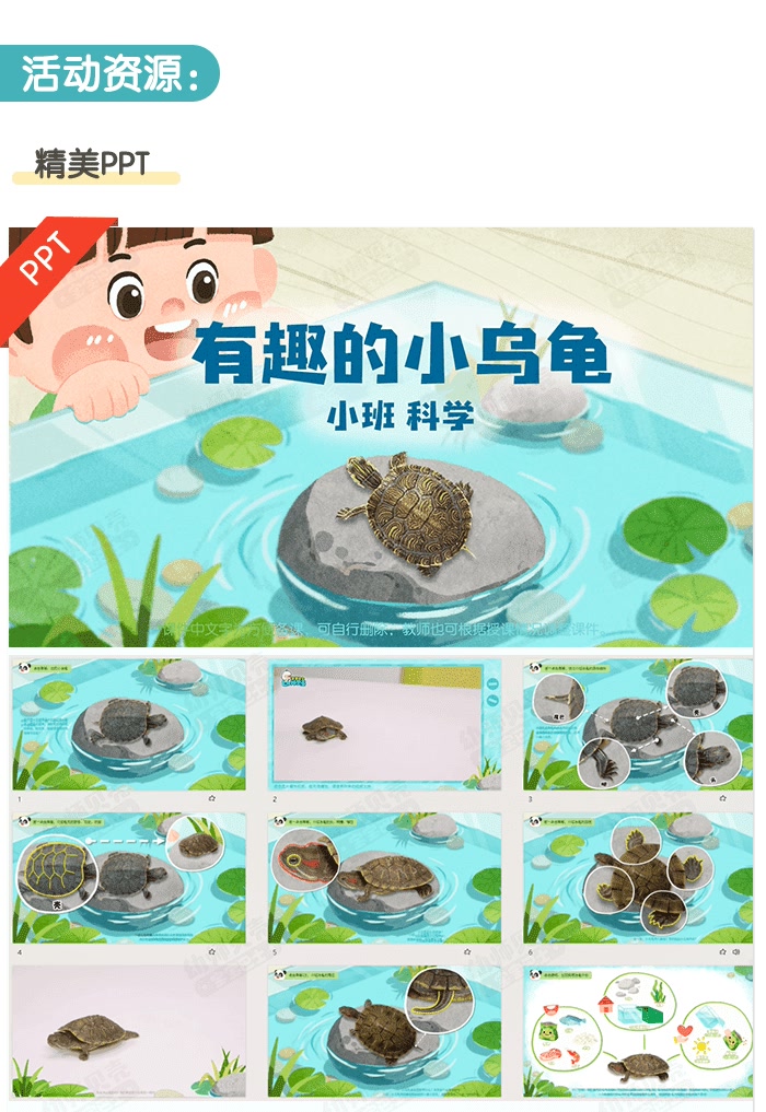 有趣的小乌龟_详情页2.png
