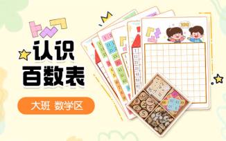 数学区-趣玩百数表
