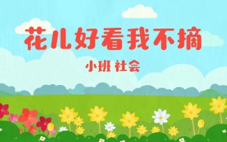 花儿好看我不摘