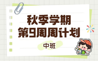 幼儿园周计划上学期第9周