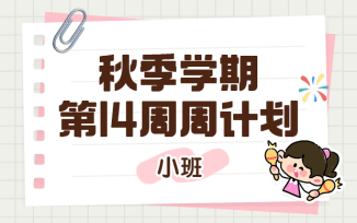 幼儿园周计划上学期第14周