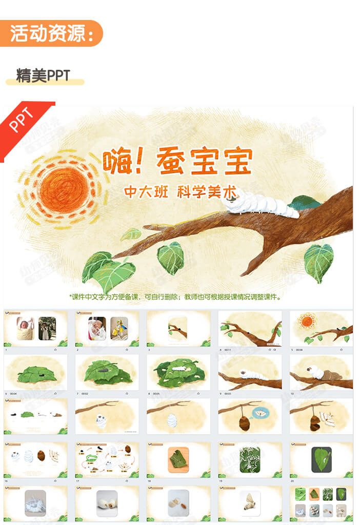 嗨！蚕宝宝_详情页2.jpg