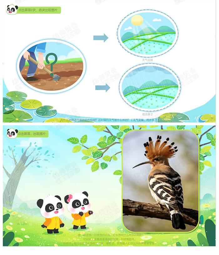 谷雨来啦_详情页3.jpg