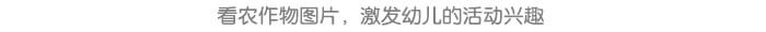 谷雨.种植实践_详情页8.jpg