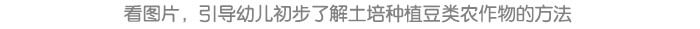 谷雨.种植实践_详情页10.jpg