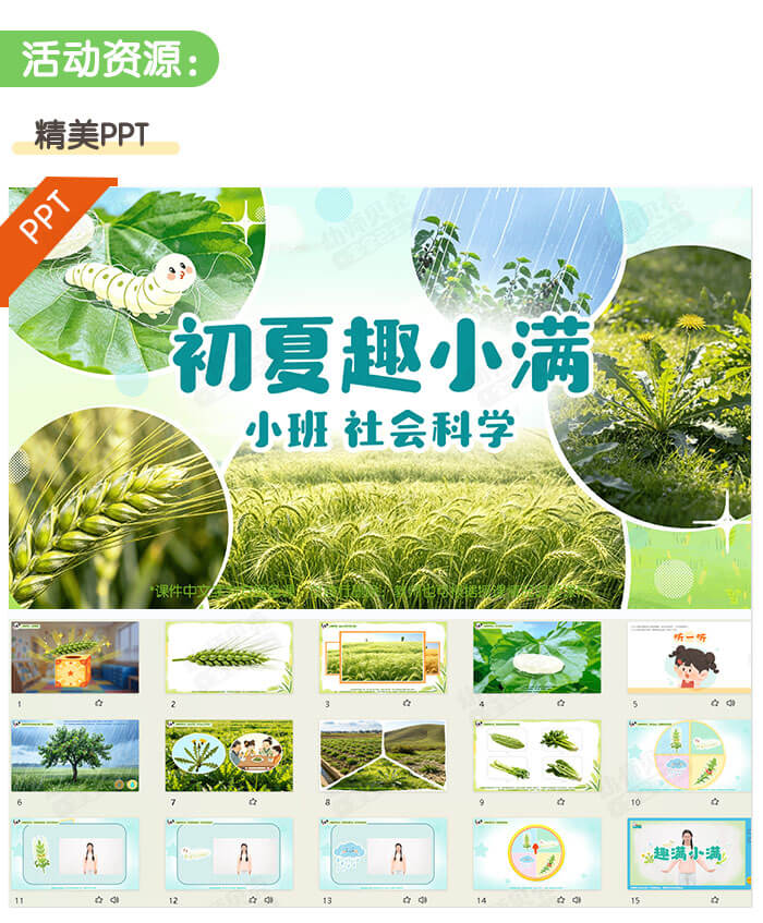 初夏趣小满_详情页2.jpg