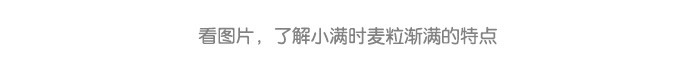小满_06.jpg