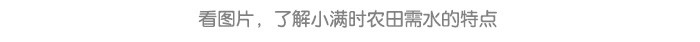 小满_07.jpg