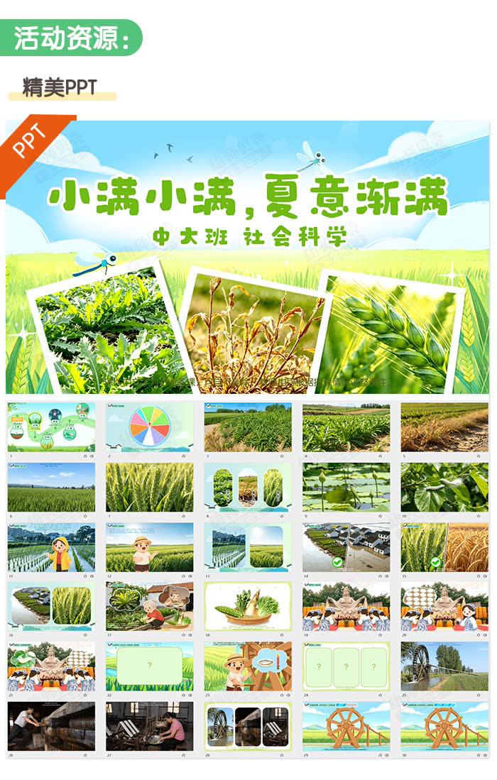 小满小满，夏意渐满_详情页02.jpg