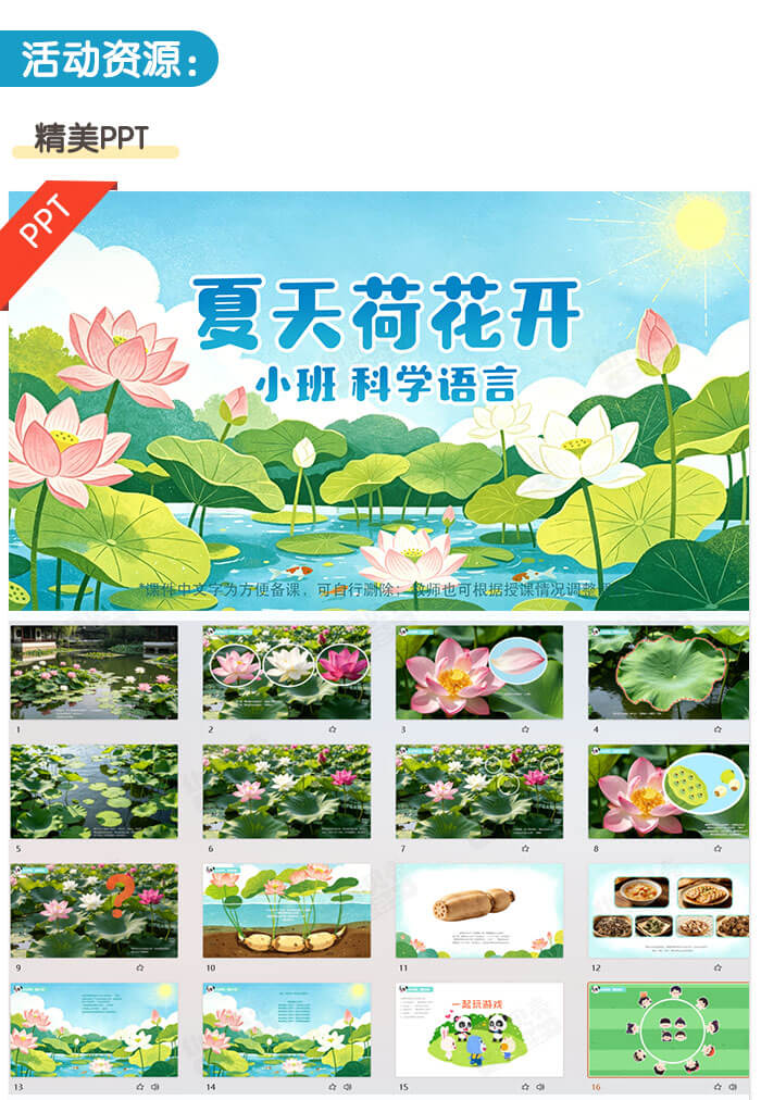 夏天荷花开_详情页_02.jpg