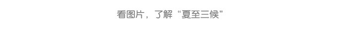 夏至_详情页4.jpg