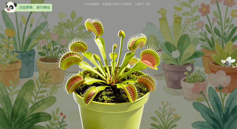 动图1.gif
