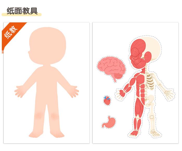 我的身体_详情页_05.jpg