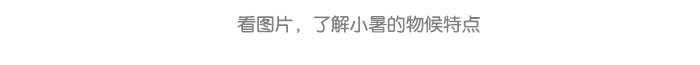 小暑_08.jpg