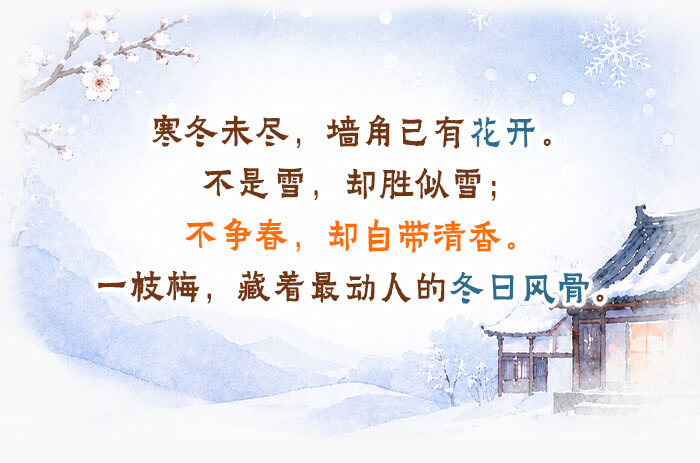 梅花_详情页_01.jpg