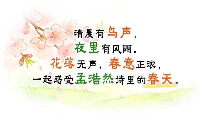 春晓_详情页_01.jpg