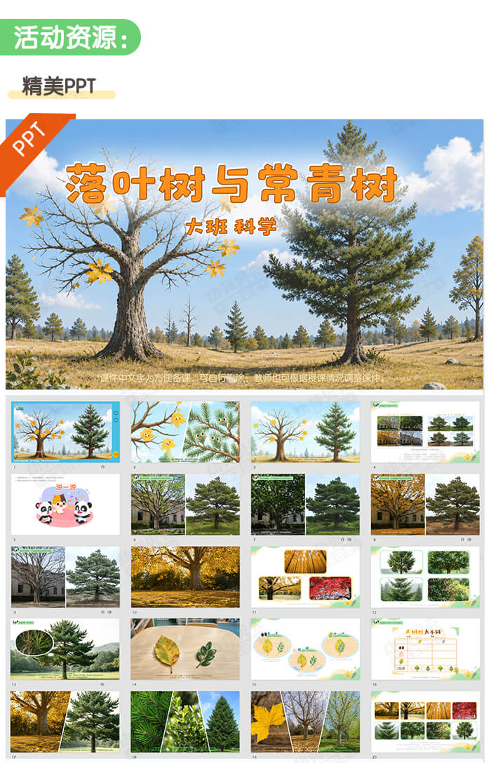 落叶树与常青树_详情页_02.jpg