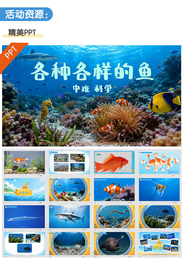 各种各样的鱼_详情页_02.jpg