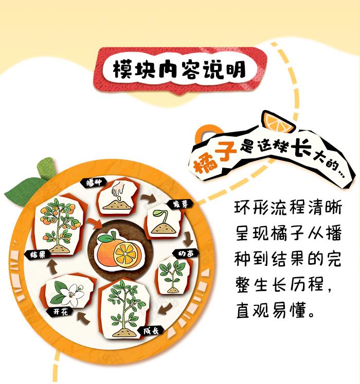 来橘会吧_详情页_02.jpg