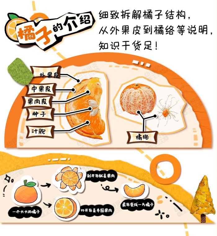 来橘会吧_详情页_03.jpg