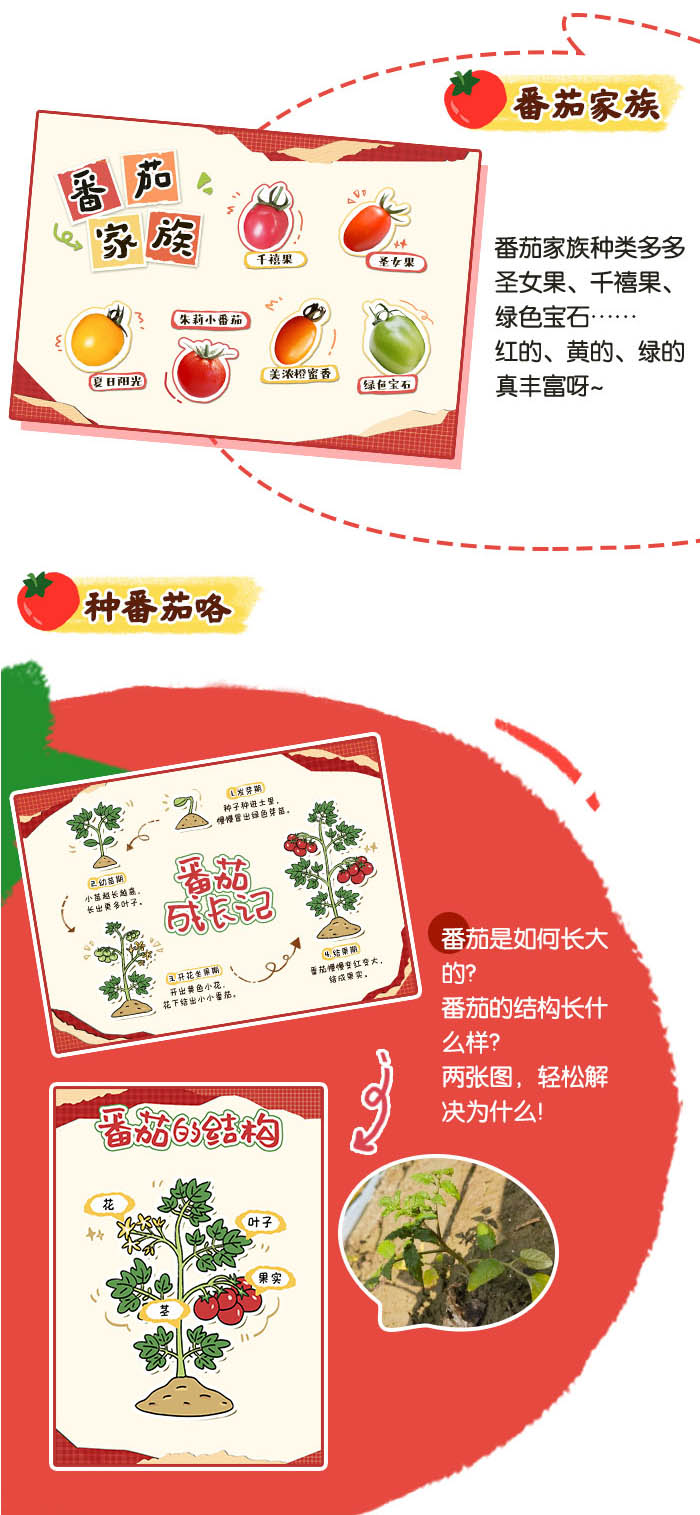 快乐番倍_方案_详情页_02.jpg