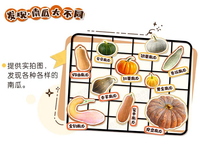 南瓜环创详情页_03.jpg