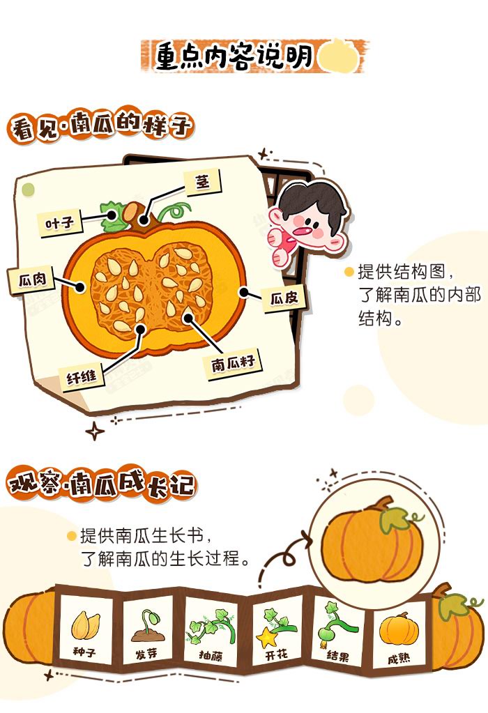 南瓜环创详情页_02.jpg