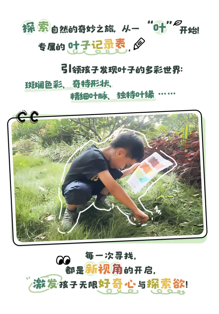 寻找叶子行动_详情页_01.jpg