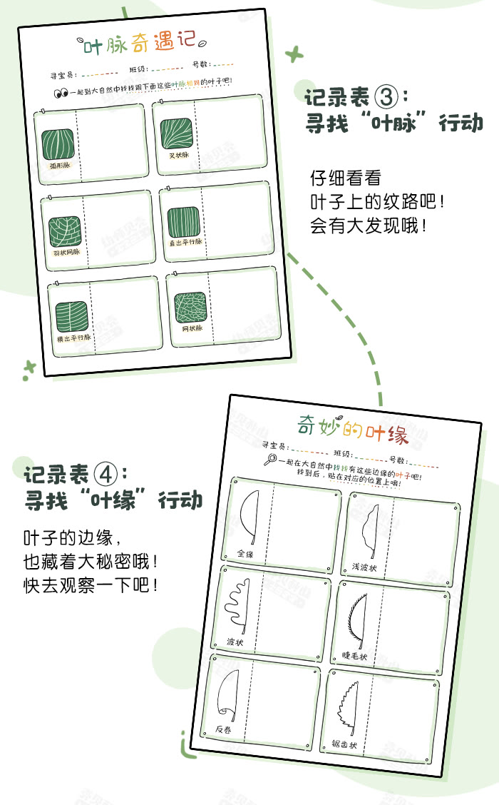 寻找叶子行动_详情页_03.jpg