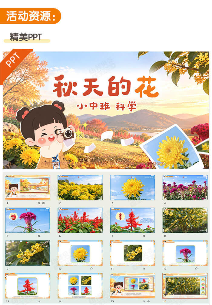 秋天的花_详情页_03.jpg