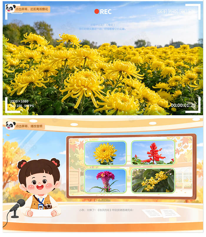 秋天的花_详情页_04.jpg