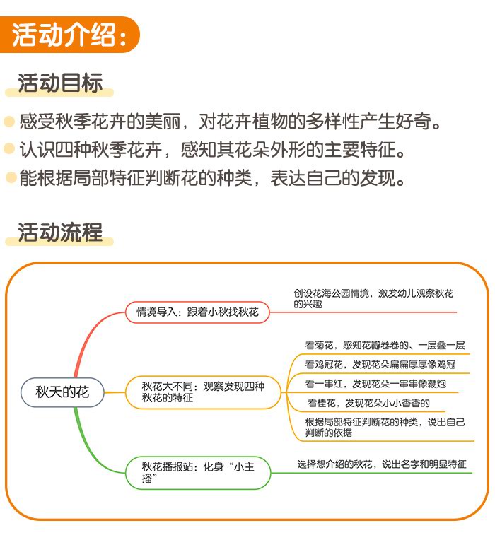 秋天的花_详情页_01.jpg