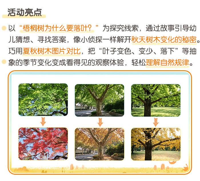 秋天的梧桐树_详情页_02.jpg