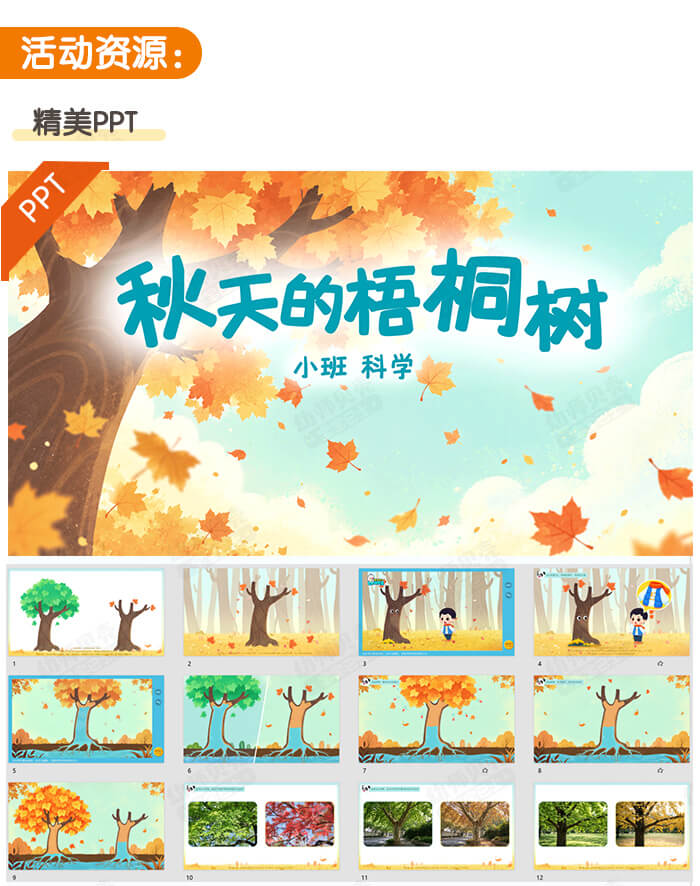 秋天的梧桐树_详情页_03.jpg