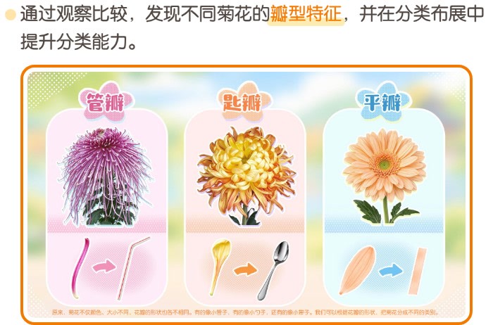 02-活动亮点-2.jpg